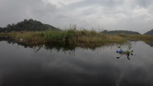 Закрыть Вид Фауну Плавающие Растения Озеро Татак Пур — стоковое видео