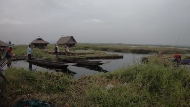 Les Gens Manipur Font Leur Travail Lac Loktak — Video