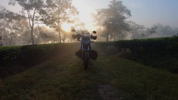 Bella Vista Durante Ripresa Zoom Out Moto Tramonto Assam — Video Stock