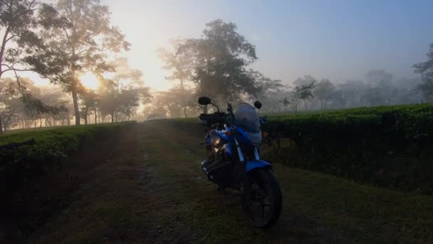 Bisikletli Gün Batımı Manzarası Gün Batımını Yakalamak Için Kamera Tripodu — Stok video