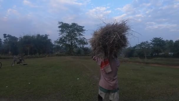 Anciano Que Toma Hierba Seca Pega Cabeza Mueve Por Noche — Vídeo de stock