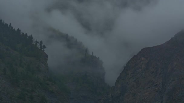 Brouillard Pluie Sur Montagne Timelapse — Video