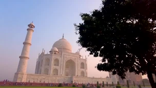 Taj Mahal Morning Sunshine Agra India — Stock Video