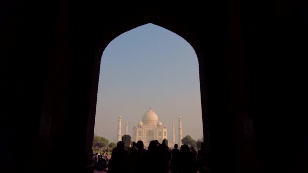 Tourist Visiting Taj Mahal Early Morning Agra India — Stock Video