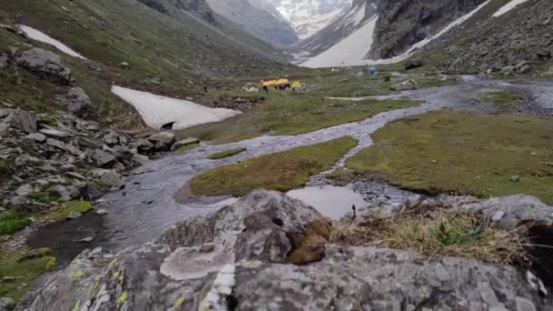 Revelando Tienda Sobre Arroyo Agua Pista Paso Hampta Himalayas — Vídeo de stock