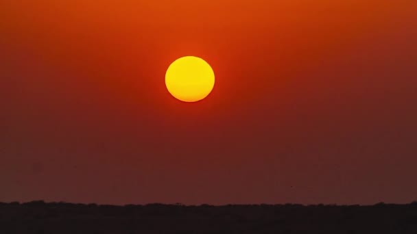 インド ラジャスタンの砂漠の日没のタイムラプス — ストック動画