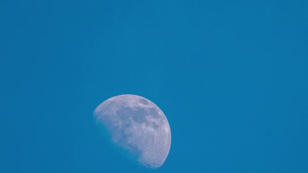 Księżyc Wdziękiem Przemieszcza Się Przez Chmury Ciągu Dnia — Wideo stockowe