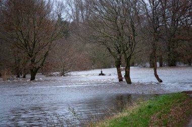 Köyün kırsal kesimindeki Niederlangen, bölge büyükelçiliği, daha düşük saksafon, Almanya - doğal afet