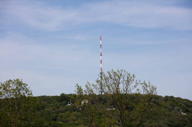 Viyana, Avusturya 'dan, Kahlenberg, Avusturya' dan, güneşli bir bahar gününde tatil sırasında çekilmiş bir manzara.