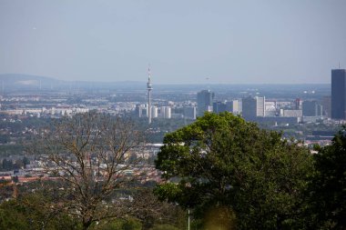 Viyana, Avusturya 'dan, Kahlenberg, Avusturya' dan, güneşli bir bahar gününde tatil sırasında çekilmiş bir manzara.