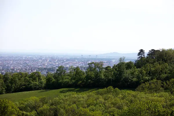 Viyana, Avusturya 'dan, Kahlenberg, Avusturya' dan, güneşli bir bahar gününde tatil sırasında çekilmiş bir manzara.