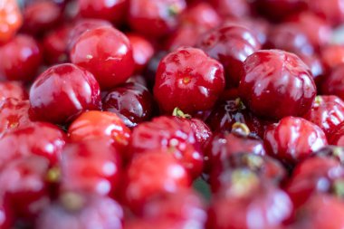 Pitanga Fruits Background, Surinam Cherry, Brezilya vişneli veya Cayenne Cherry olarak bilinen tropikal bir meyve. Güney Amerika 'ya özgü Myrtaceae ailesinin Eugenia uniflora ağacında yetişir.