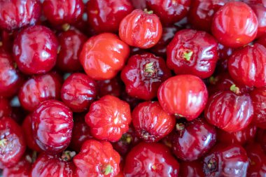 Pitanga Fruits Background, Surinam Cherry, Brezilya vişneli veya Cayenne Cherry olarak bilinen tropikal bir meyve. Güney Amerika 'ya özgü Myrtaceae ailesinin Eugenia uniflora ağacında yetişir.
