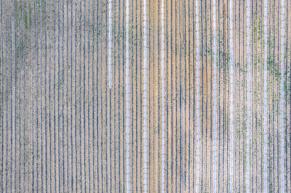 Drone Aerial Farmfield View Top Textuur Achtergrond Opname Opgenomen Algarve — Stockfoto