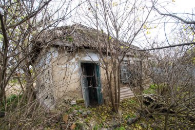 Köydeki terk edilmiş Ukrayna köylü evi.