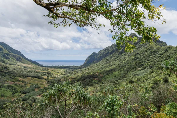 Hawaii Oahu yeşil göl manzarası