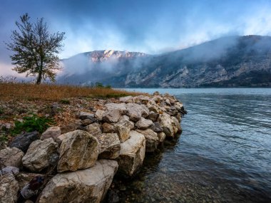 Beautiful moody autumn landscape. Silhouette of a tree on the shore of a mountain lake in foggy weather