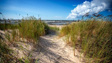 Beautiful seascape, spikelets on the background of a sandy beach sky with clouds and cold sea, Baltic Sea