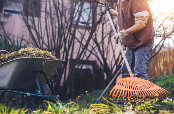 Lente Tuin Het Land Schoonmaken Een Jonge Vrouw Verzamelt Oud — Stockfoto