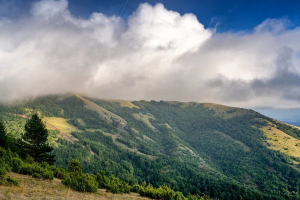 Frumos Peisaj Vară Dealuri Verzi Copaci Sub Cer Albastru Nori — Fotografie, imagine de stoc