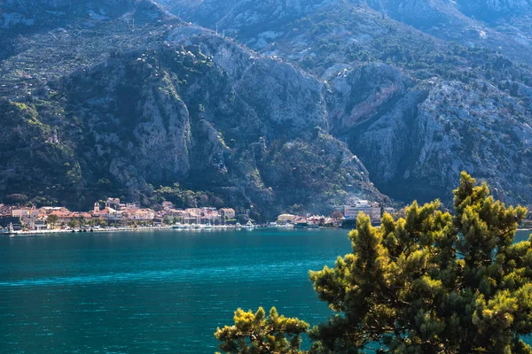 Kotor Montenegro Paesaggio Case Vicino All Acqua Piedi Delle Rocce — Foto Stock