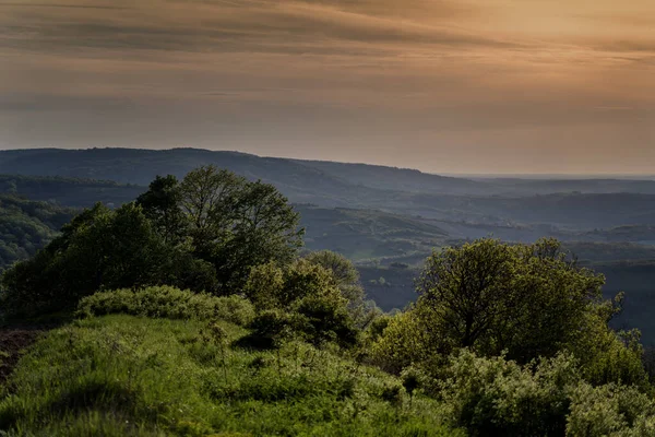 緑豊かな夏の風景 丘や森のある田舎の日没 — ストック写真