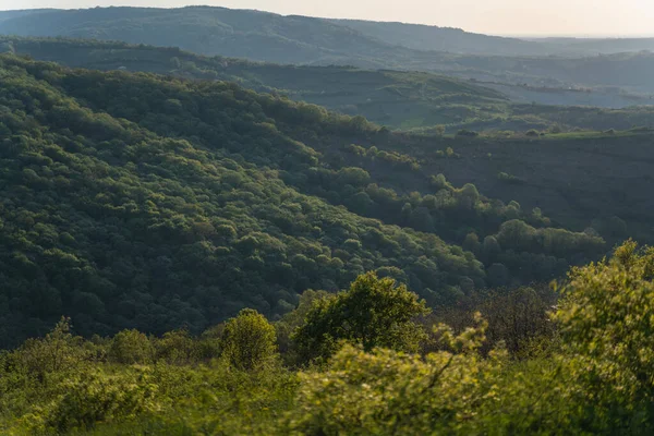 Зеленый Летний Пейзаж Сельская Местность Холмами Лесом Закате — стоковое фото