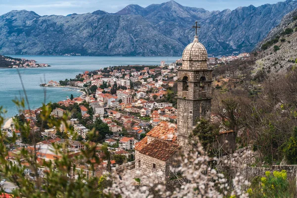 Historical Kotor Old Town Kotor Bay Adriatic Sea Balkan Mountains — Stockfoto