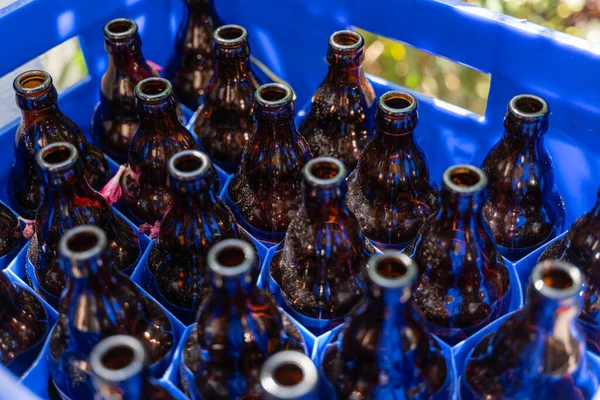 空のほこりの多いビールボトルでいっぱいの箱 リサイクルの考え方 — ストック写真