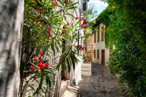 Street with greenery and flowers in the old town of the historical center of Marmaris on the Aegean coast in Turkey