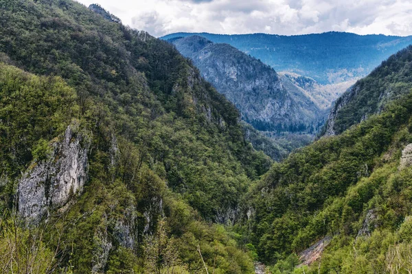 美丽的山景 峡谷间覆盖着青翠的森林 — 图库照片