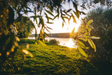 Güzel yaz manzarası, bir yaz günü gün batımında nehir kıyısında söğüt ağacı..