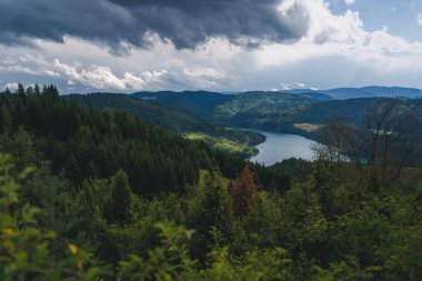 Güzel Zlatar dağ manzarası, popüler turizm beldesi. Yeşil çam ormanları, tepeler ve çayırlar. Sırbistan