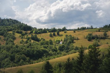 Güzel Zlatar dağı, popüler turizm merkezi. Yeşil çam ormanları, tepeler ve çayırlar. Sırbistan