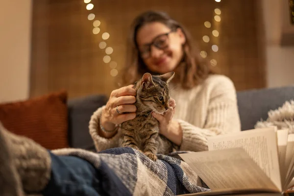 Cozy at home with tabby cat, woman with her pet on sofa ay home in evening, winter holidays concept