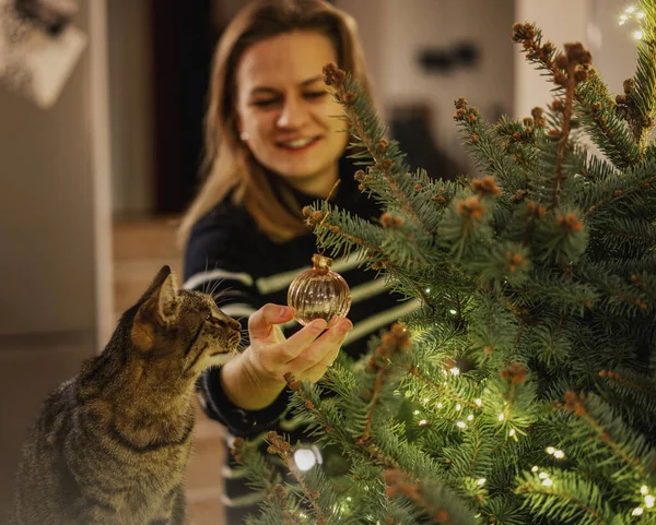 Kollarında Gri Bir Kediyle Noel Ağacını Süsleyen Genç Bir Kadın — Stok fotoğraf