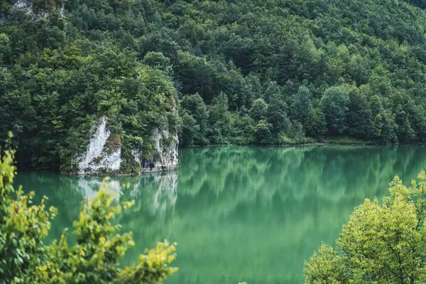 Orman kanyonundaki masmavi su, dağ nehri yaz manzarası.