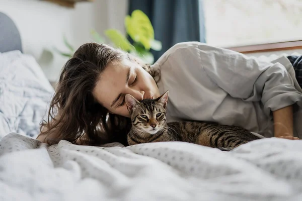 かわいい灰色の子猫が朝ベッドで目覚めている若い女性 — ストック写真