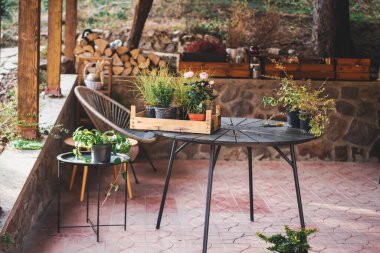 Bir bahar günü kır evinin terasında çiçek fidanlarıyla dolu bir masa. Hobi bahçıvanlığı