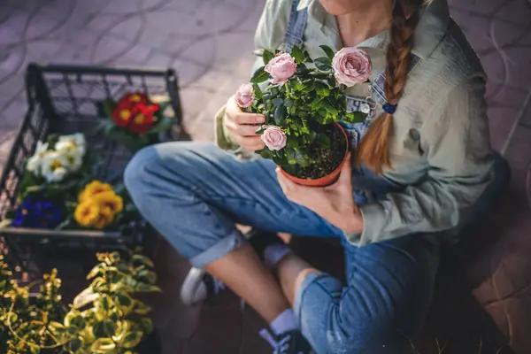 春天的一天 一个手里拿着玫瑰花盆的女人坐在自家的阳台上 园艺用花苗 花卉栽培概念 图库图片