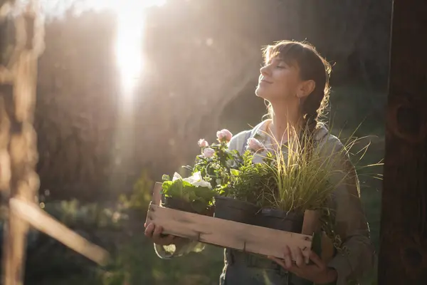 Joven Mujer Feliz Con Una Caja Plantas Flores Para Plántulas Imagen De Stock