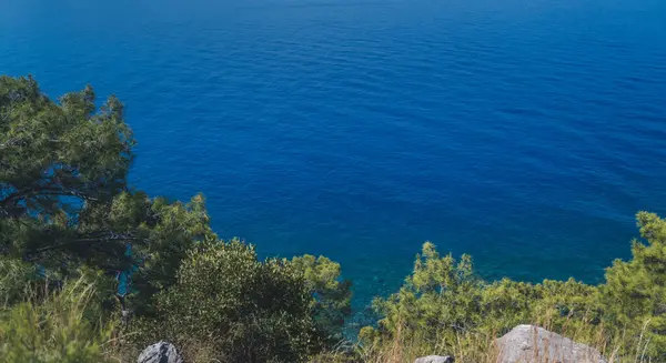 stock image Pine forest in the hills on the shore of the blue sea.