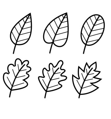 leaves hand drawn set outline icon vector