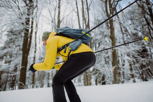 老年人在雪地的森林前滑行越野滑雪 — 图库照片