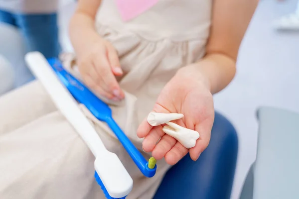 歯ブラシやプラスチック歯のモデルを保持する少女のクローズアップ 子供の口腔衛生の概念 予防と歯科衛生 — ストック写真