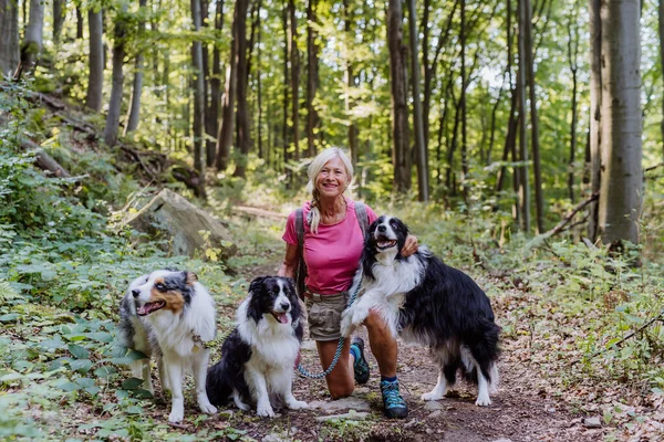Senior Kvinna Promenader Med Sina Tre Hundar Skog — Stockfoto