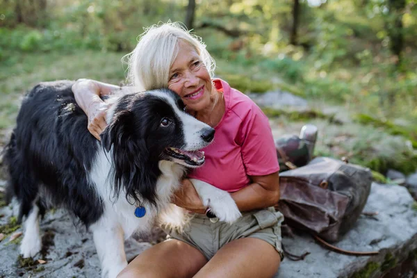 Senior Mujer Teniendo Descanso Durante Pasear Perro Bosque —  Fotos de Stock