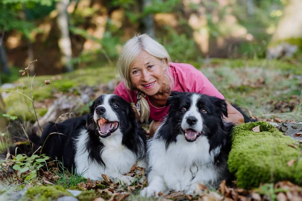 Πορτρέτο Της Ηλικιωμένης Γυναίκας Σκυλιά Της Ένα Δάσος — Φωτογραφία Αρχείου