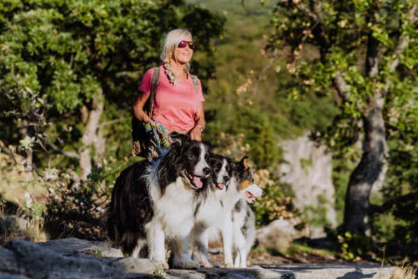 Senior Kvinde Går Med Sine Tre Hunde Skov - Stock-foto