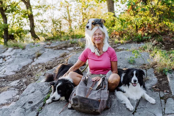 Senior Kvinna Som Har Rast Rasten Sina Tre Hundar Skog — Stockfoto